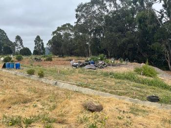 The view of the Water Conservation Garden from the hillside.