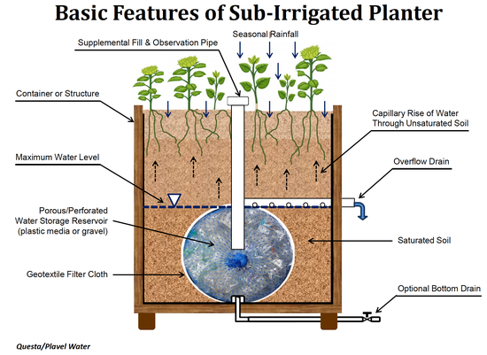 12-07-24SubIrrigatedPlants