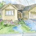 Planting the Rain: A Guide for Passive Rainwater Harvesting