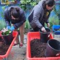 Presentamos un nuevo proyecto de Jardineros Maestros de Contra Costa