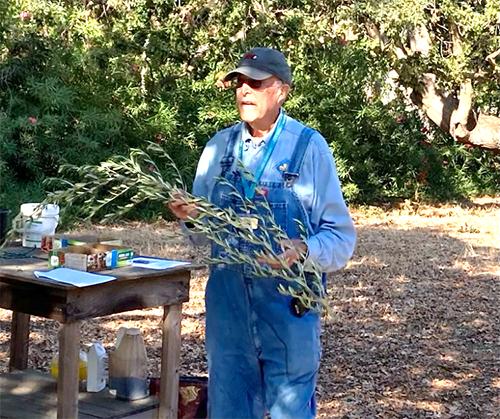 CoCoMG John Fike gives an Our Garden talk about olives-Photo Courtesy Greg Letts