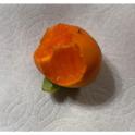 Sweet or Astringent? Solving the Puzzle of Your Persimmon Tree