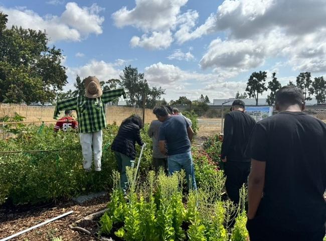 Tara Vaishnav teaches vine pruning techniques to students at Nuestro Jardín_Photo Courtesy May Coleman