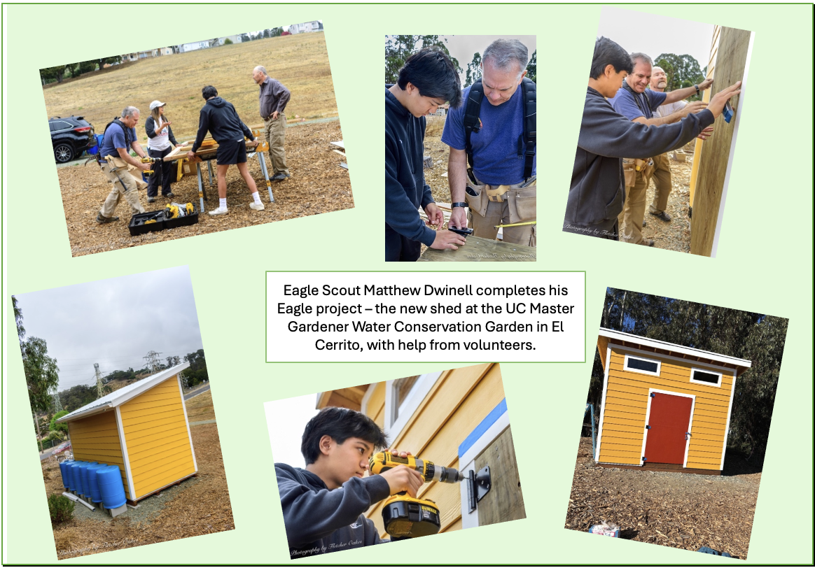 Water Conservation Garden_Eagle Scouts Shed