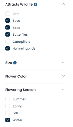 Filter by options in Attracts Wildlife and Flowering Season.