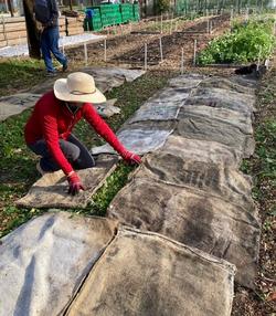 Burlap bags cover and protect soil.