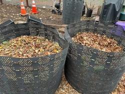 Compost bins full of leaves.