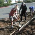 Fall 2007: laying safe and accessible paths through the garden.