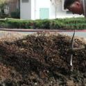 Winter 2008: breaking up compacted clay; excavating to prevent drainage problems