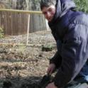 Propagating native meadow grasses for the garden.