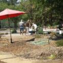 A preview tour to introduce early visitors to the garden.