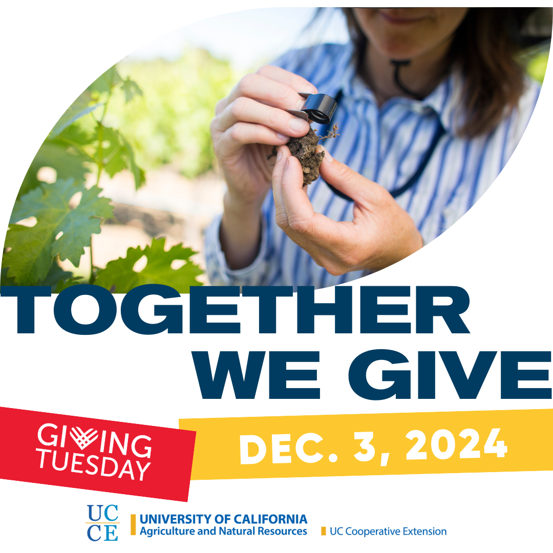 2024 GT Together We Give - UCCE Template (7)