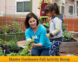 master gardener fall recap banner