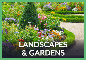 Gardens and Landscapes