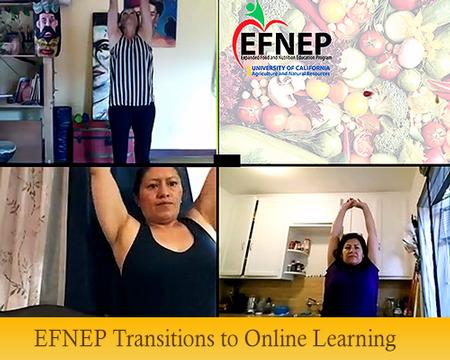 EFNEP-Transitions-to-Online-Learning-Lg-Banner