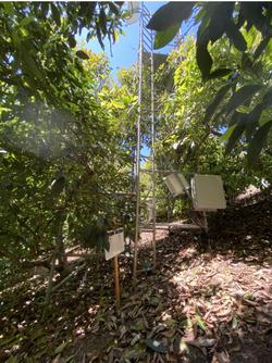 Fig .2. A ground view of a flux tower/monitoring station in an avocado orchard in Escondido.