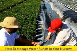 Click to read about managing water runoff in your nursery
