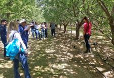 Doctoral student Kelley Drechsler explaining to almond growers the automated system she uses to implement site-specific irrigation by variety.