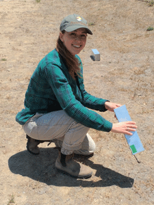 Graduate student Rebecca Roberts checking a livetrap used during surveys of rodents. Photo by J. Duggan.