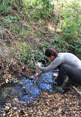 Student measures stream temperature and electrical conductivity in Escondido Creek, a tributary in the Jack and Laura Dangermond Preserve.