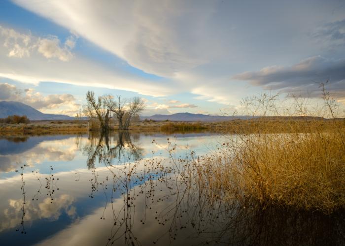 Farmer's Pond, a mitigation project of Los Angeles Department of Water and Power in northern Owens Valley. Bishop, California. November 13, 2020. copy
