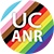 Pride icon 1