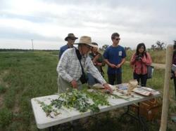 Texeira showing the species of his cover crop mix