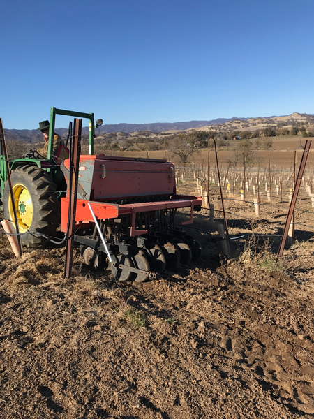 Vitis & Ovis Farm, Yolo County, using a borrowed drill seeder to plant cover crops in between vine rows. Photo courtesy of Vitis and Ovis Farm.