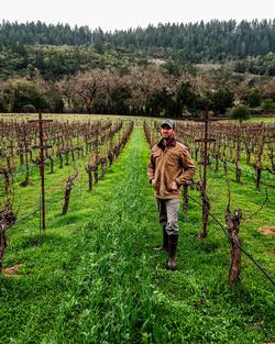 Jim Duane looks over the winter cover crop growing between rows of winegrapes.