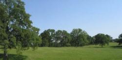 Oaks Rangeland