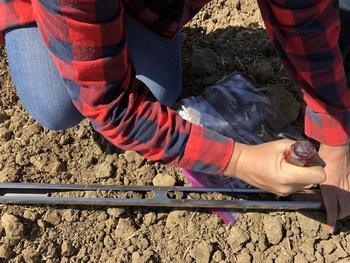 Sampling soil at UC Davis’ Russell Ranch Sustainable Agriculture Facility. (Courtesy Nicole Tautges/UC Davis)