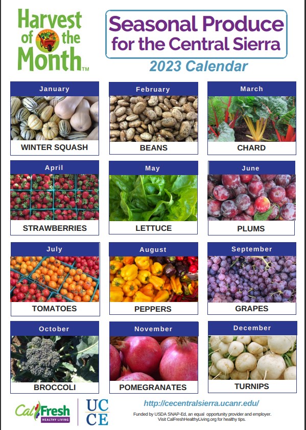 HOTM 2023 Calendar