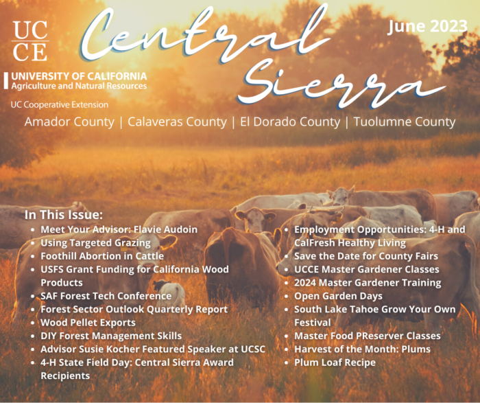 Best Carbon Copy Lab Notebook for sale in El Dorado County, California for  2023