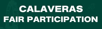 Dark green Rectangle that reads Calaveras County Fair Participation in white block font.