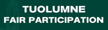 Dark green Rectangle that reads Tuolumne County Fair Participation in white block font.