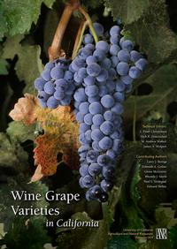Wine Grape Varieties in California