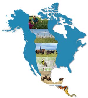 Central Grasslands Roadmap logo