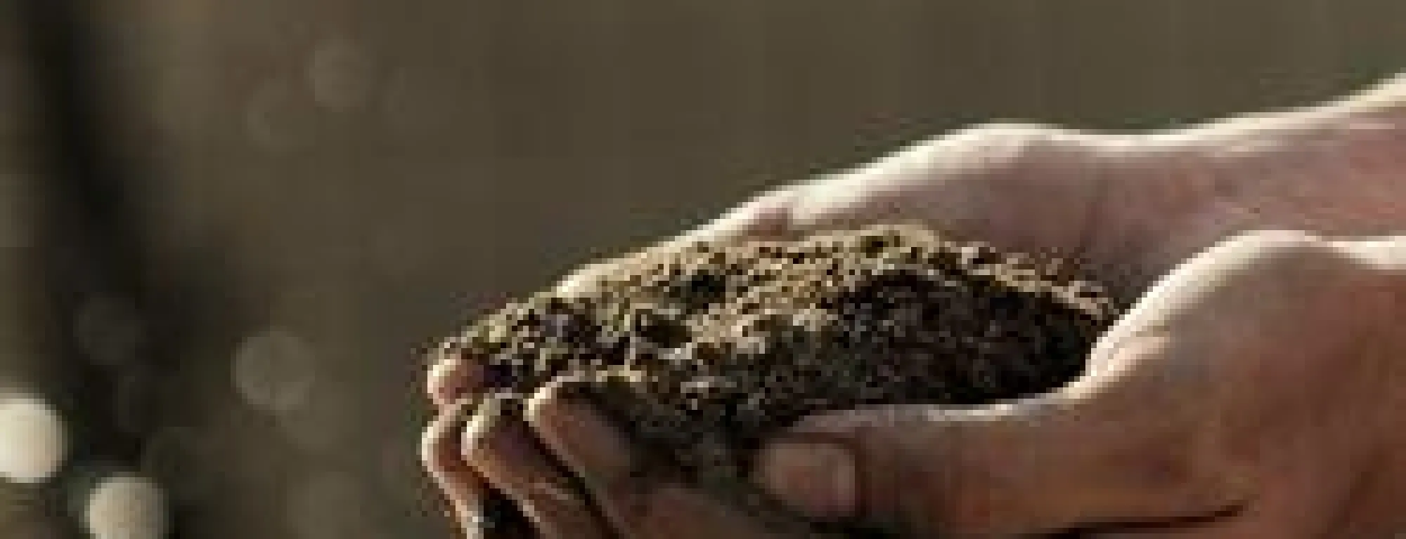 Soil