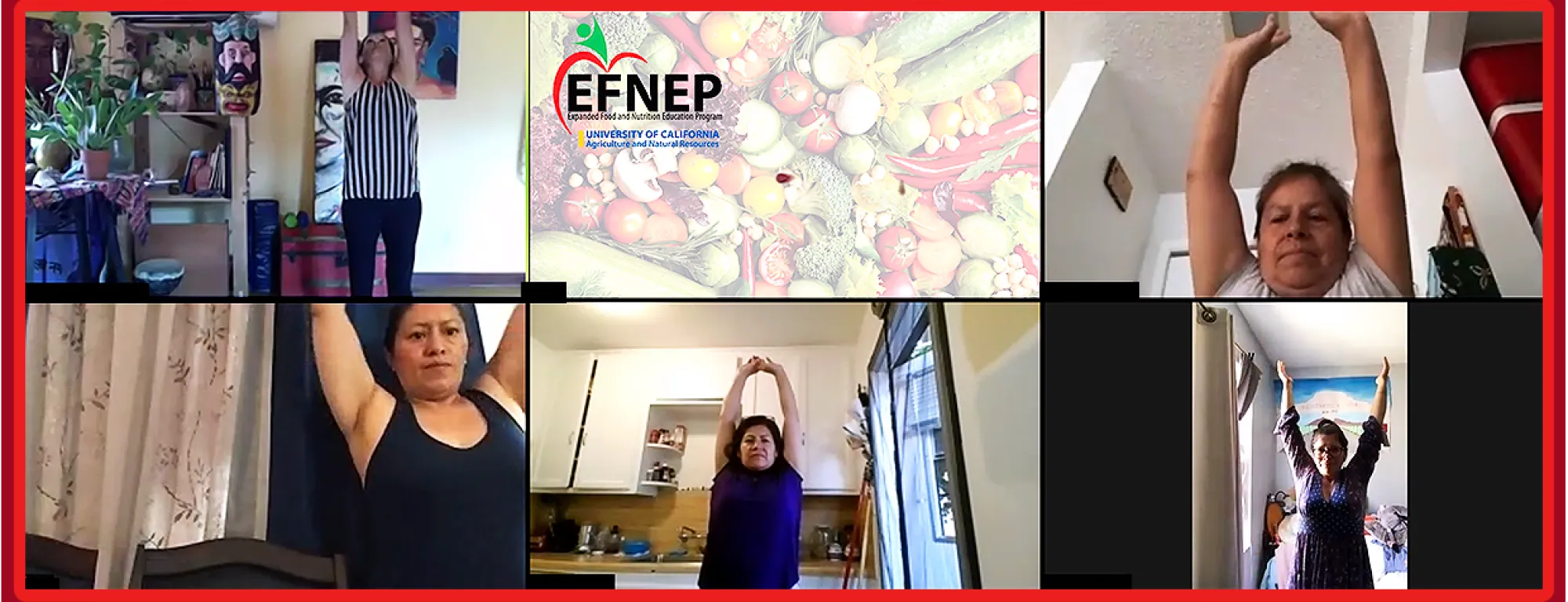 EFNEP-remote-banner-lrg