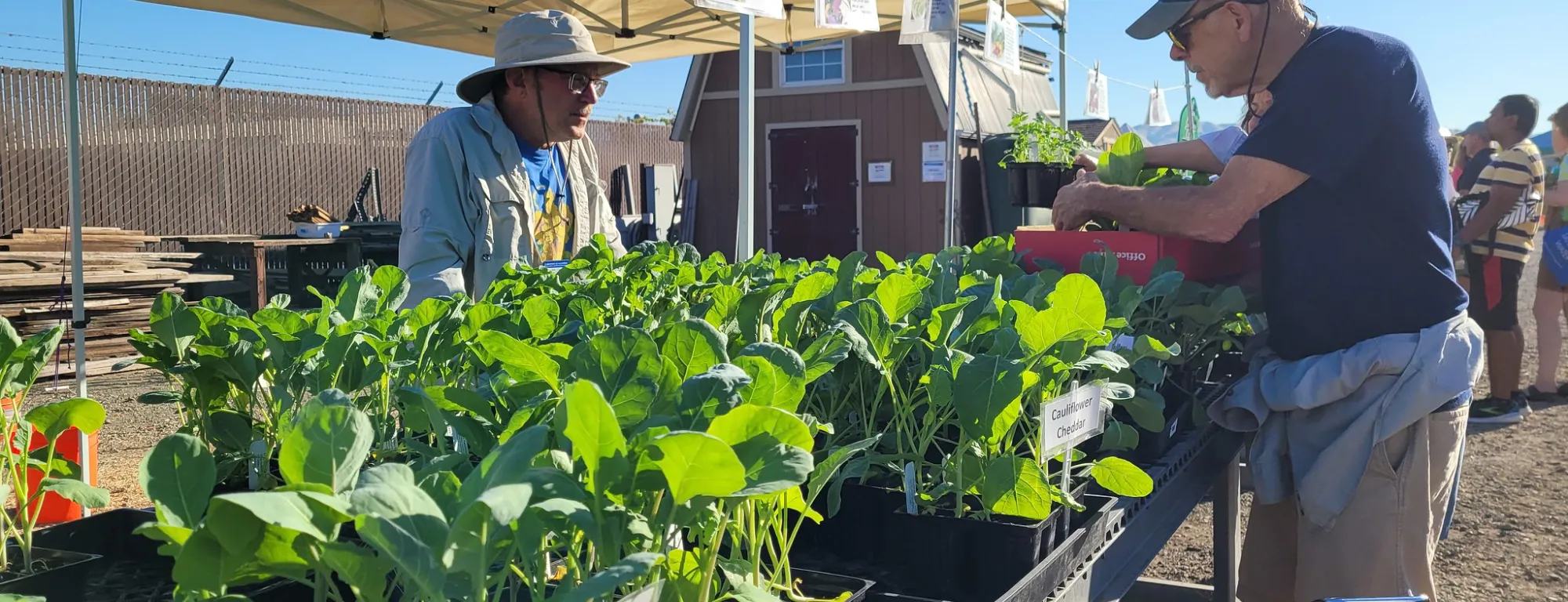 Be sure to have a tote to bring them home