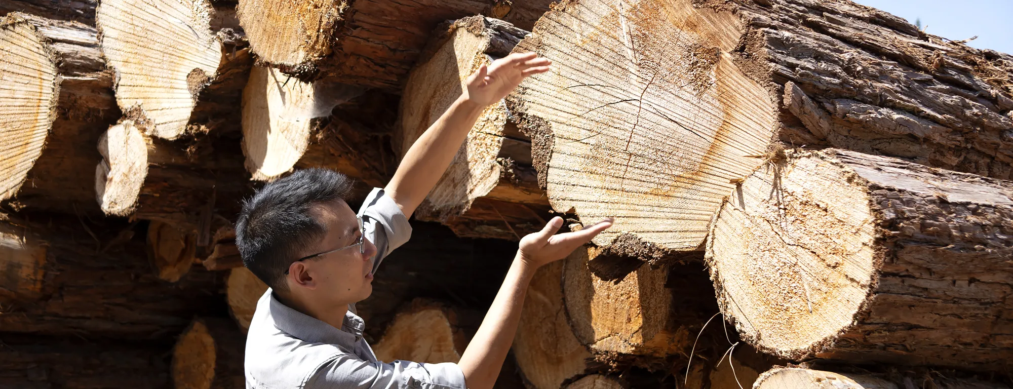Man stands next to a pile of cut timber logs