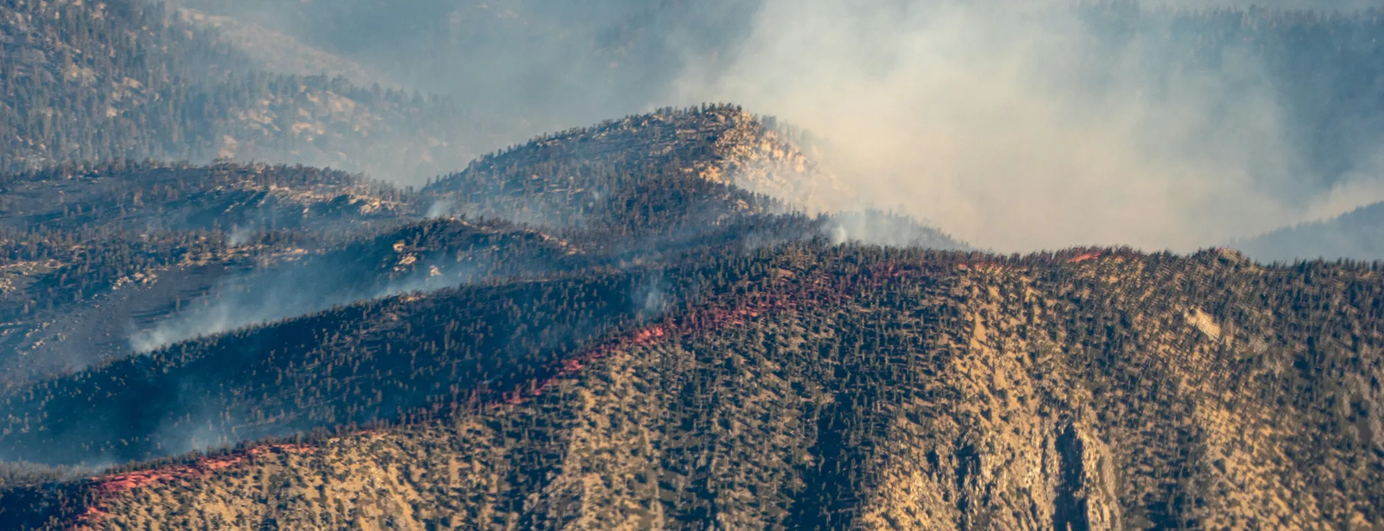 fire burning in the hills