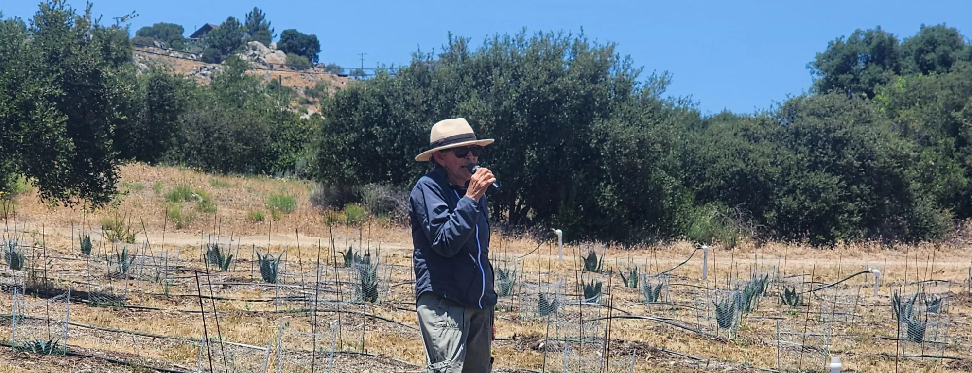Ofelia in a field day