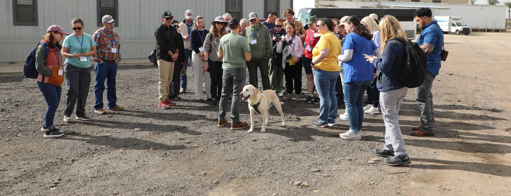 A group of people stand around a dog