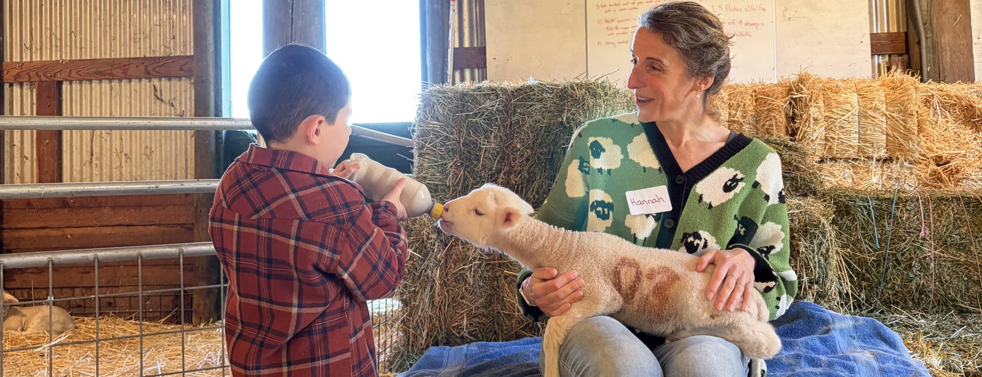 Community educator Hannah Bird holds a lamb on her lap as a schoolchild feeds it a bottle in a barn-like setting