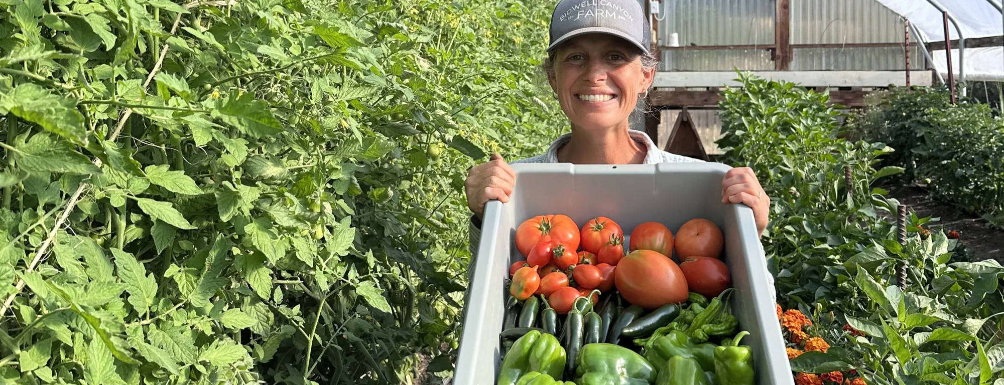 Leah Larsen of Bidwell Canyon Farm displays a container with a harvest of tomatoes and peppers from her hoophouse
