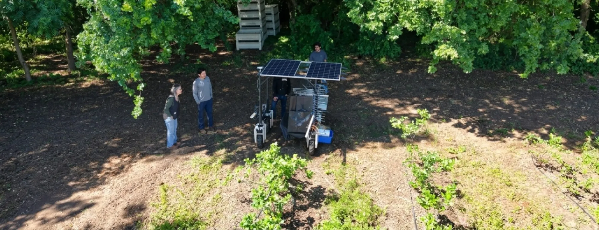 Four people look at an agricultural robot working at the edge of an orchard