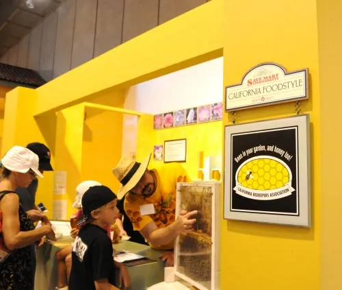 Fairgoers check out the observation hive in the Californa Foodstyle building at the California State Fair. (Photo by Kathy Keatley Garvey)