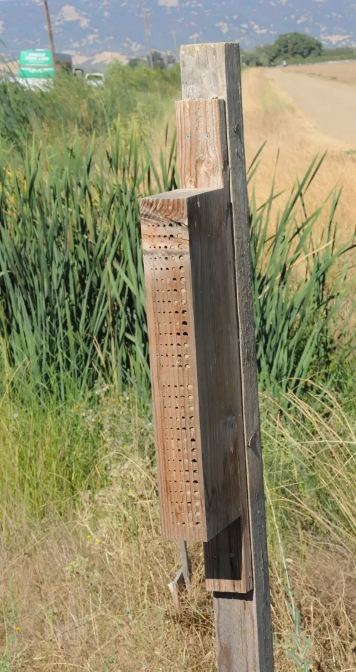 This is a bee nesting block built to attract native pollinators. (Photo by Kathy Keatley Garvey)
