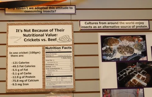 CRICKET ANYONE?--A sign at the Bohart Museum of Entomology indicates the nutritional value of eating a cricket. Bon appétit! (Photo by Kathy Keatley Garvey)